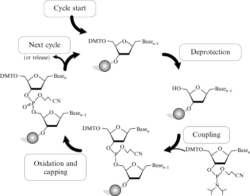 DNA/RNA Synthesis Reagents – RNA / BOC Sciences