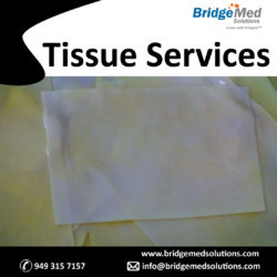 Tissues Services