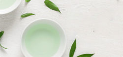 Baoda China Green tea Manufacturer