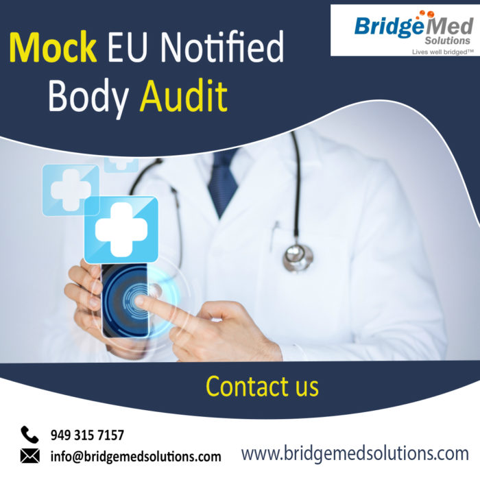 Mock EU Notified Body Audit