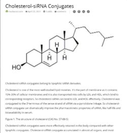cholesterol conjugated sirna