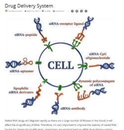 rnai delivery methods