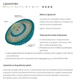 liposome sirna