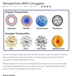 sirna nanoparticles