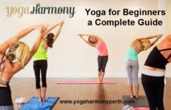 Yoga for Beginners a Complete Guide