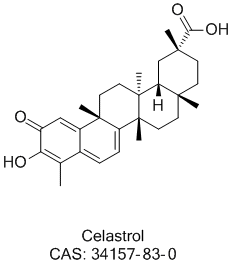CAS 34157-83-0 Celastrol – BOC Sciences