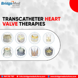 TRANSCATHETER HEART VALVE THERAPIES