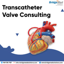 Transcatheter Valve Consulting