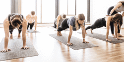 Yoga & Pilates the New Workout Combo: Yoga and Pilates Studio Perth Explained!