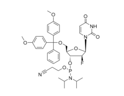 CAS 1190089-70-3 1-(2′-Deoxy-5′-O-DMT-2′-fluoro-b-D-arabinofuranosyl)uracil 3& ...