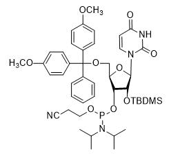 CAS 118362-03-1 5′-DMT-2’O-TBDMS-rU Phosphoramidite – RNA / BOC Sciences