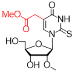 5-Methoxycarbonylmethyl-2-thiouridine-2′-O-methyluridine – RNA / BOC Sciences