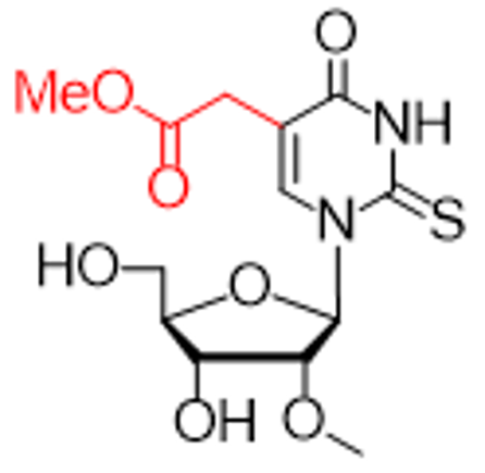 5-Methoxycarbonylmethyl-2-thiouridine-2′-O-methyluridine – RNA / BOC Sciences