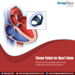 Tissue Patch for Heart Valve