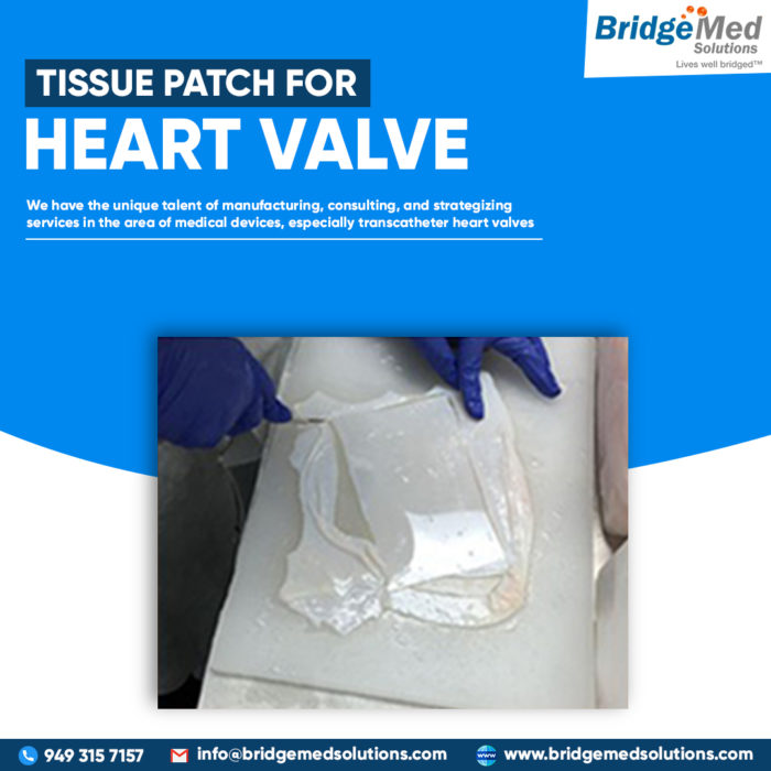 Tissue Patch For Heart Valve