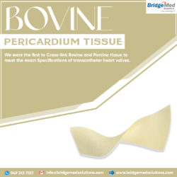 Bovine Pericardium Tissue