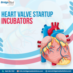 Heart Valve Startup Incubators