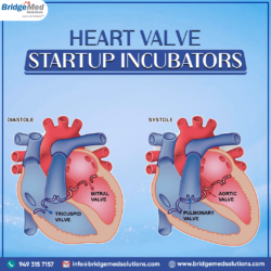 Heart Valve Startup Incubators