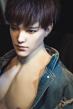 The Difference Between Gay Sex Dolls and Male Sex Dolls